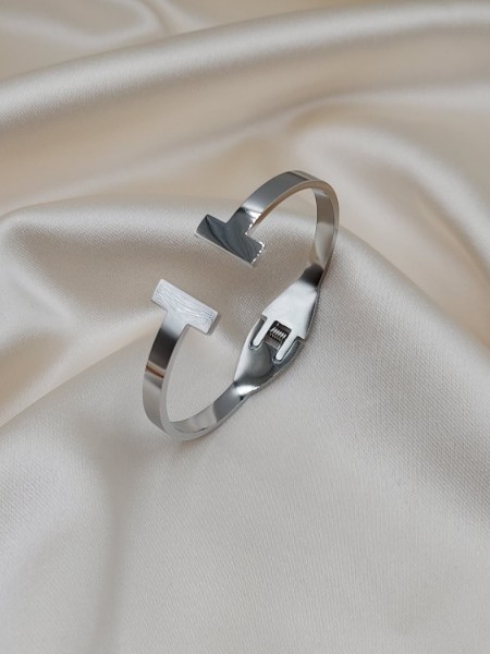 Silver 316L Çelik T Kelepçe Silver 316L Çelik T Kelepçe